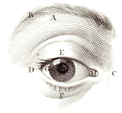 Eye